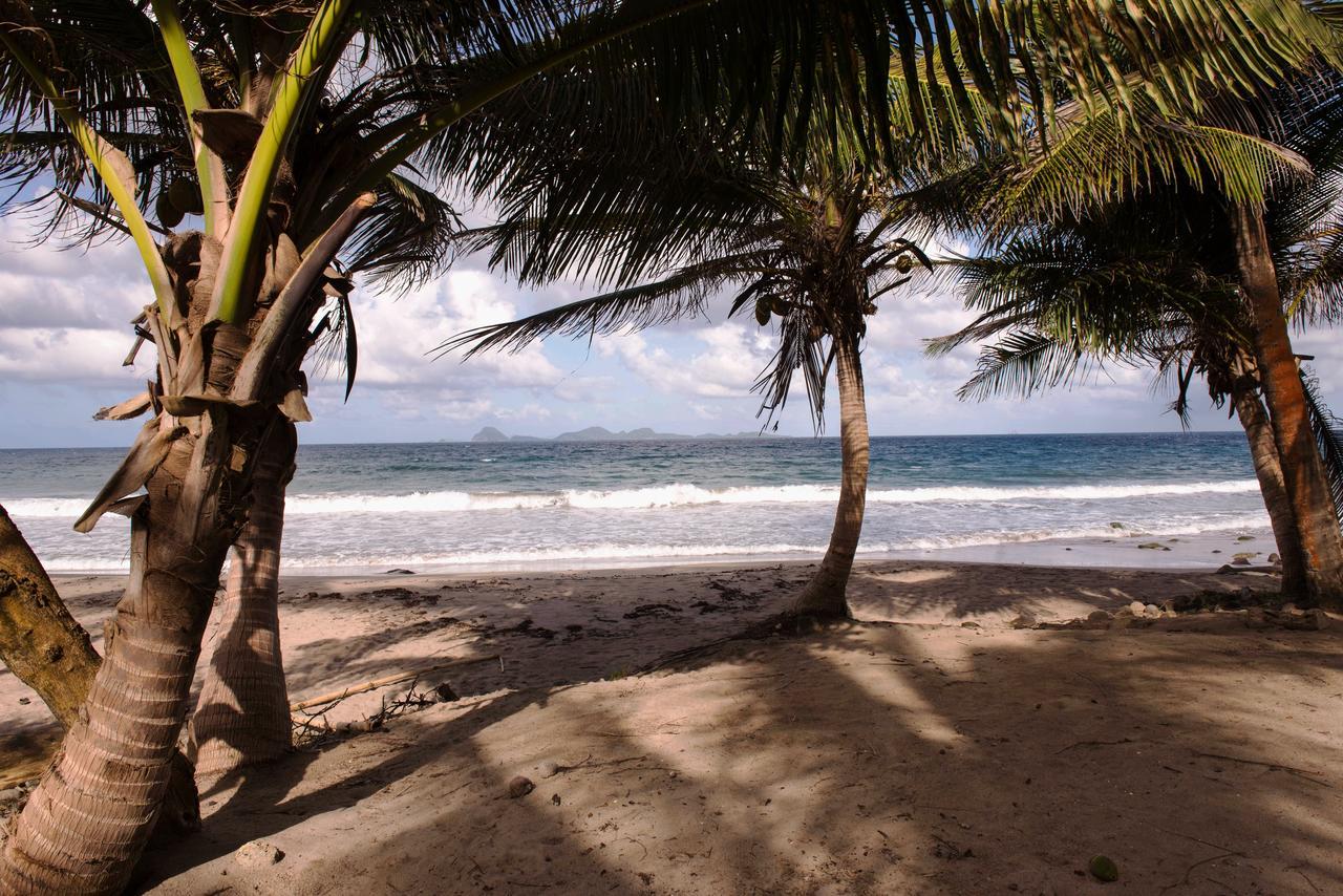 Petite Anse Hotel Mount Alexander Luaran gambar