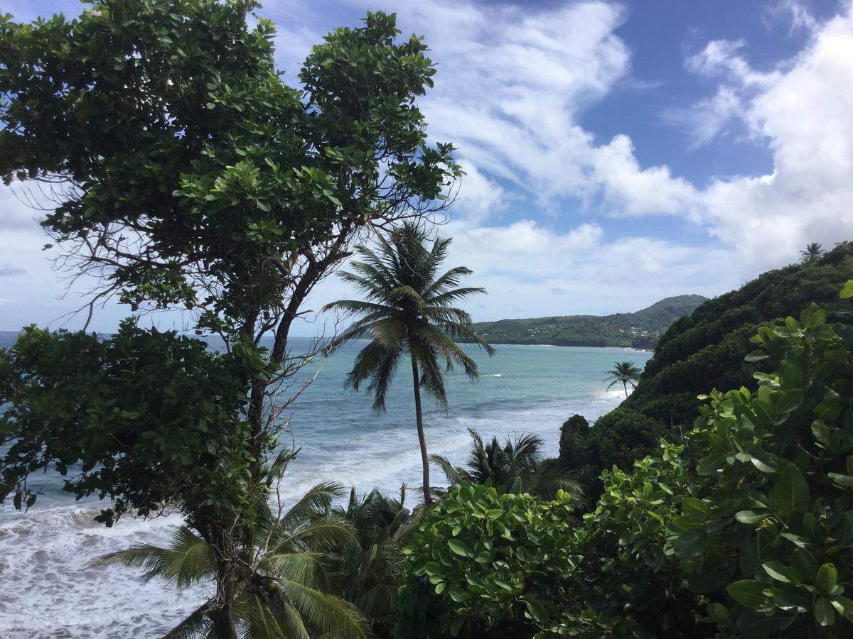 Petite Anse Hotel Mount Alexander Luaran gambar