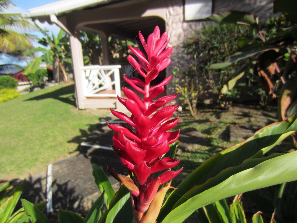 Petite Anse Hotel Mount Alexander Luaran gambar