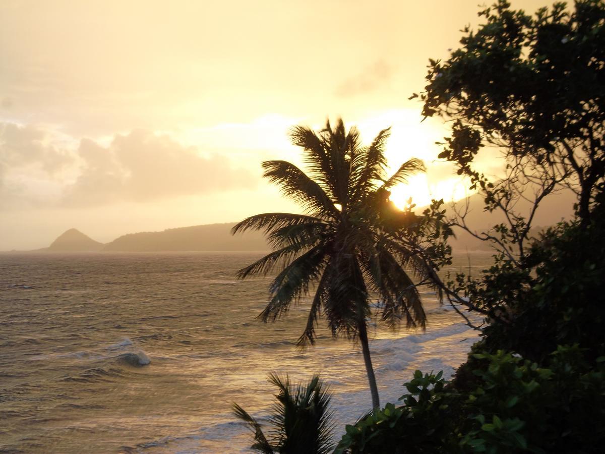 Petite Anse Hotel Mount Alexander Luaran gambar